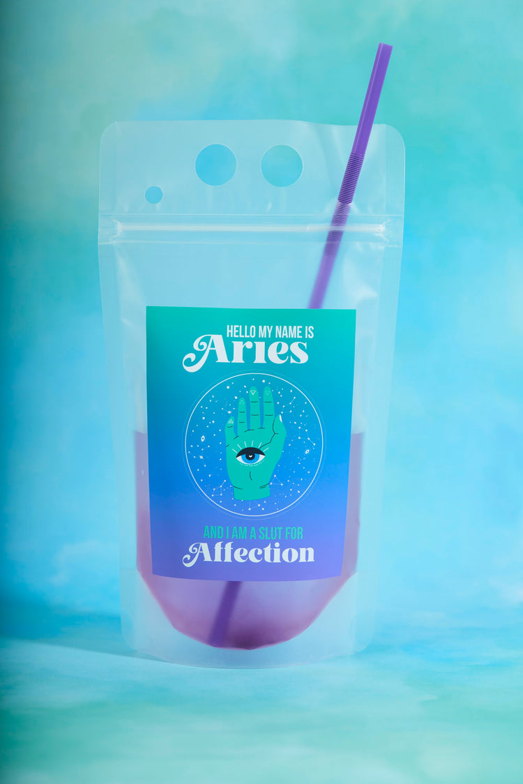 Aries Zodiac Drink Pouch Set