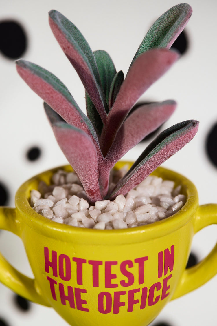 Hottest In The Office Award