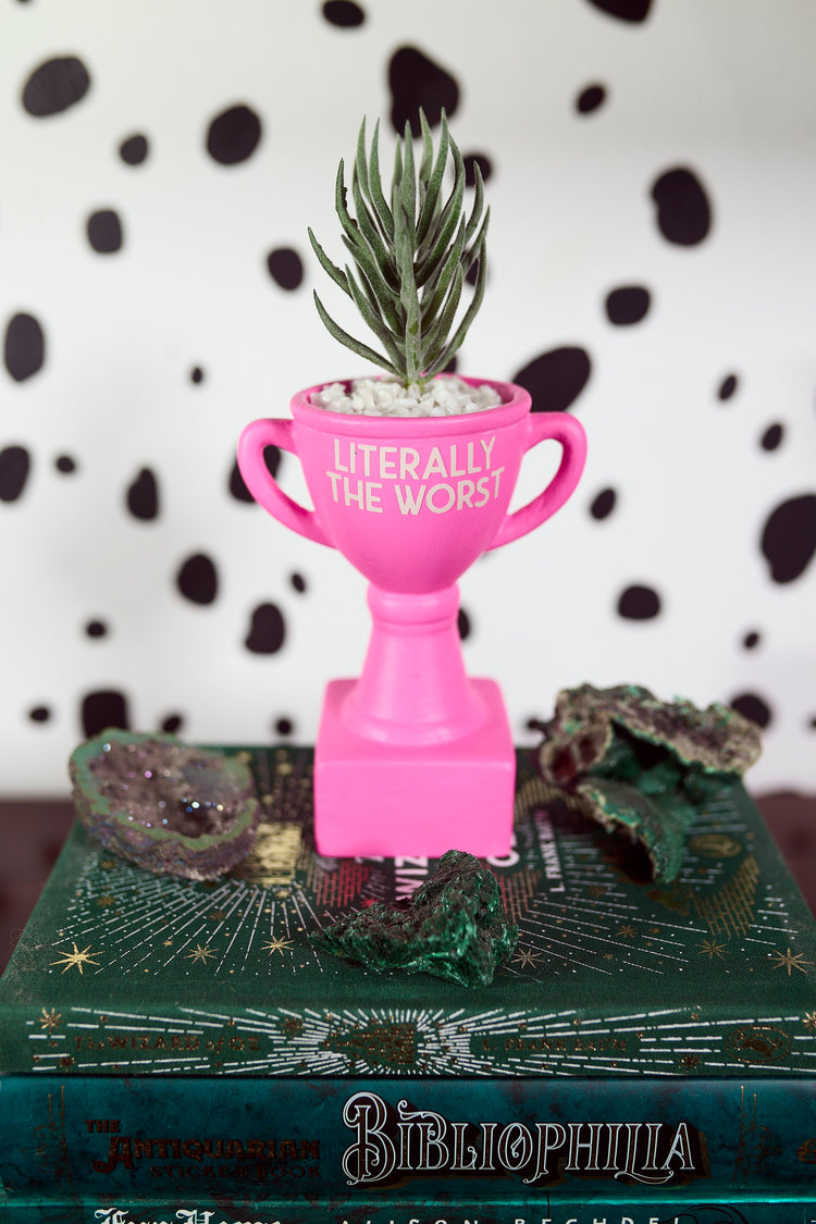 Literally The Worst Award