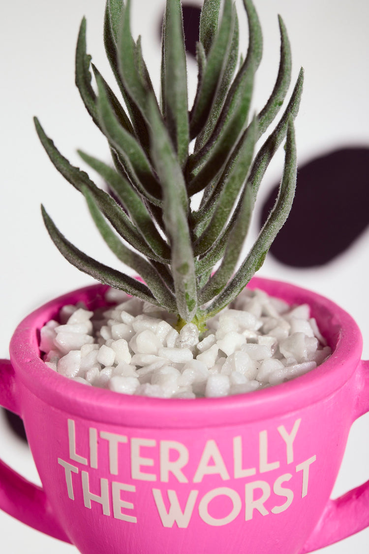 Literally The Worst Award