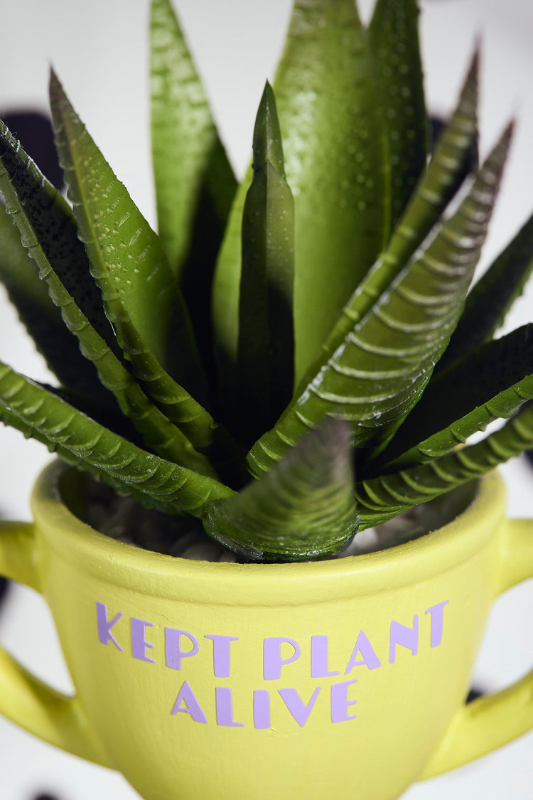 Kept Plant Alive Award