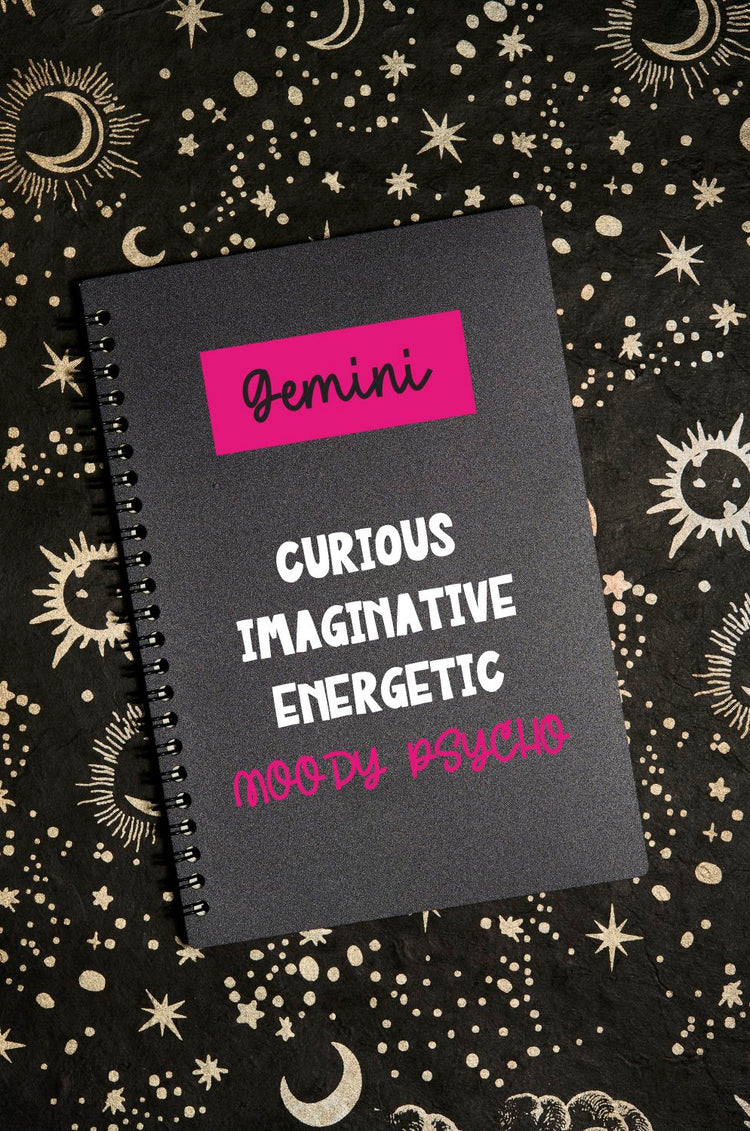 Gemini Notebook