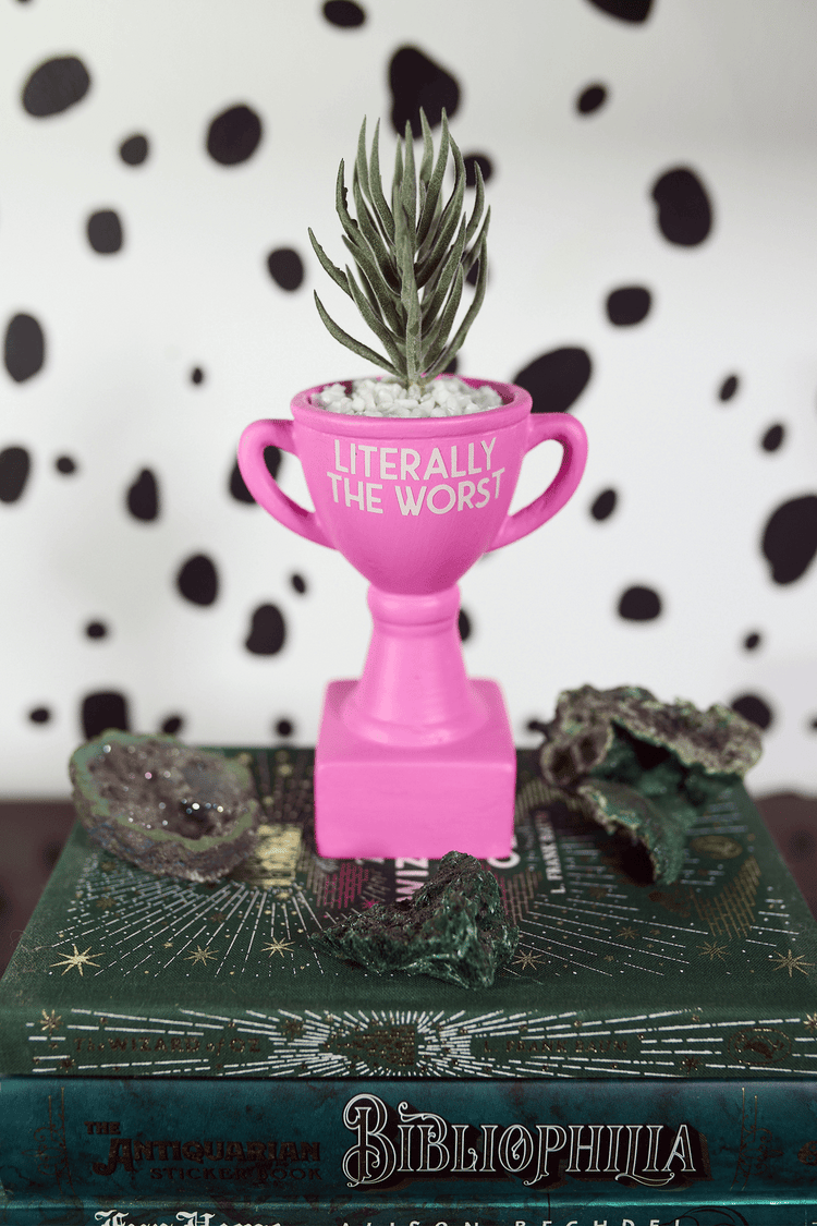 Literally The Worst Award