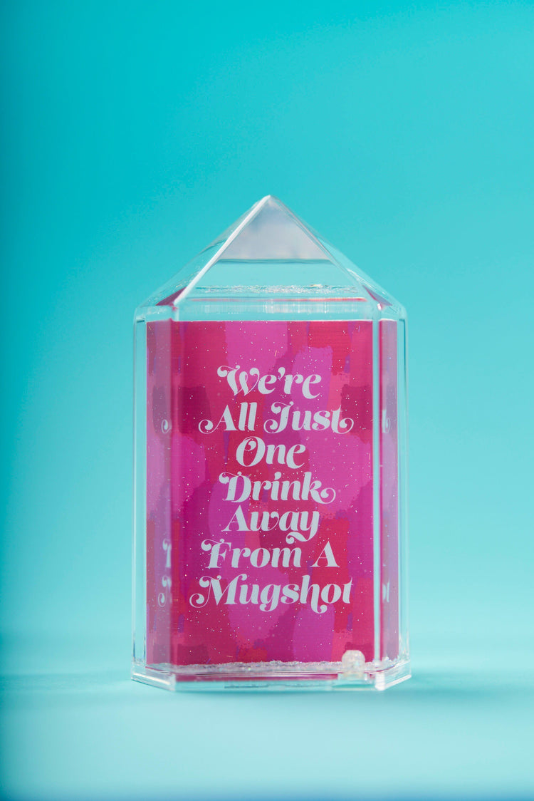 One Drink Away From a Mugshot Snow Globe
