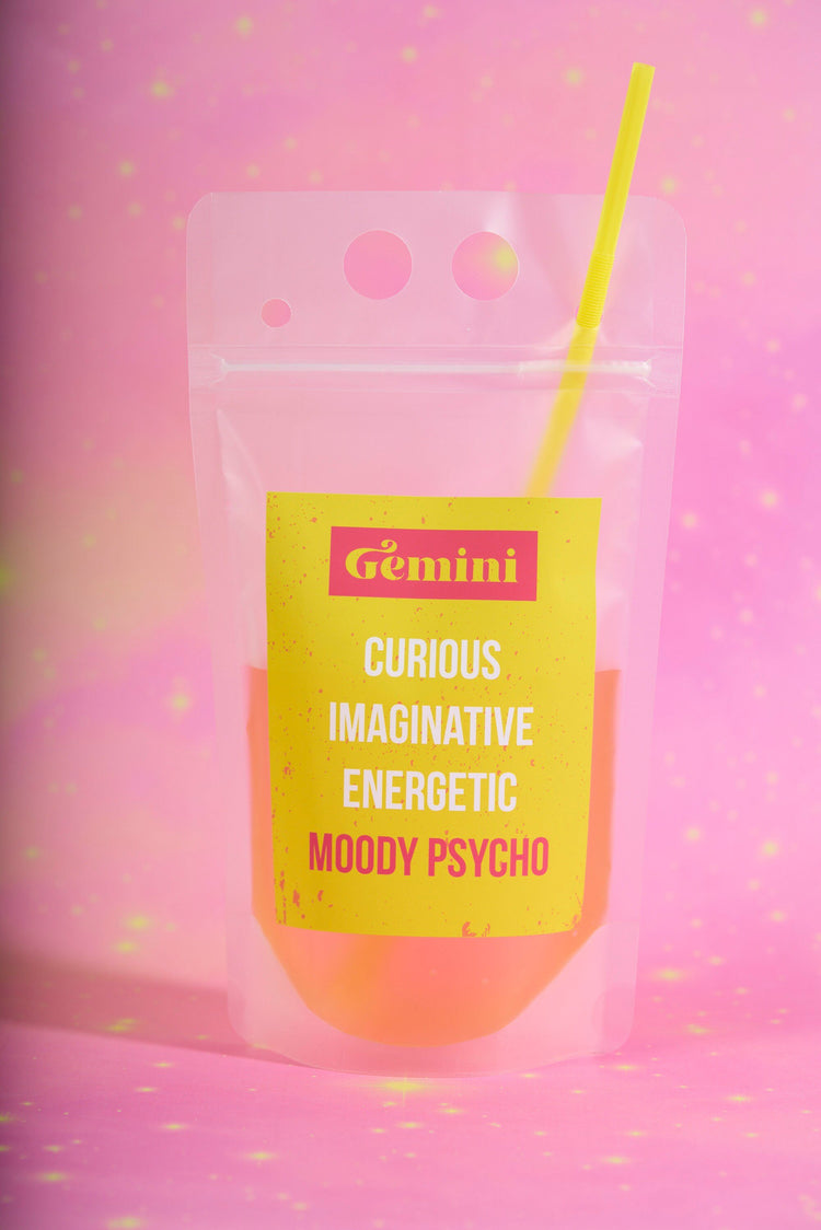 Gemini Zodiac Drink Pouch Set
