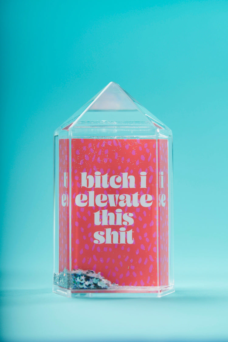 Bitch I Elevate This Shit Snow Globe