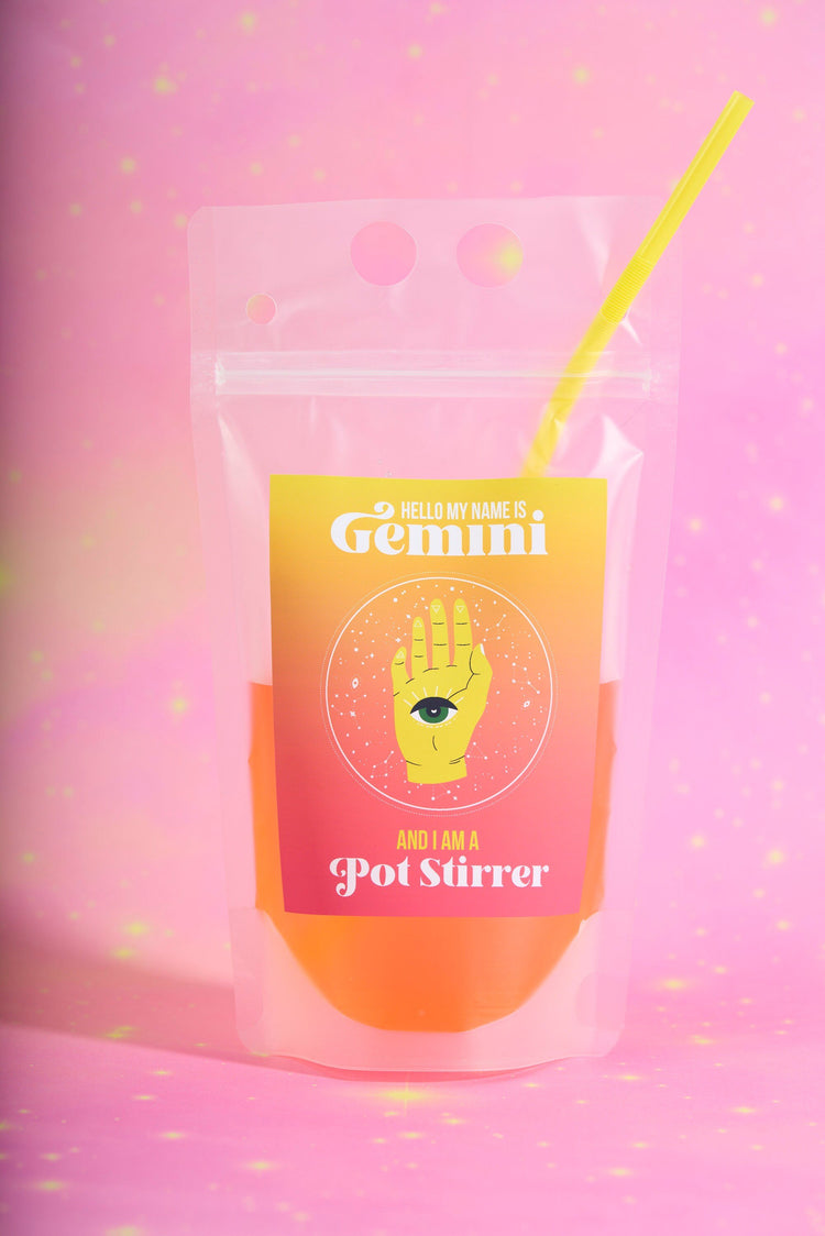 Gemini Zodiac Drink Pouch Set