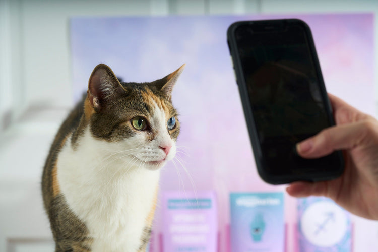 Sagittarius Zodiac Drink Pouch Set