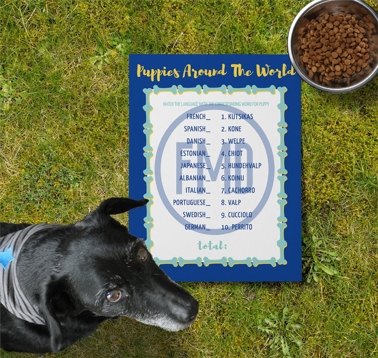 Dog Themed Party Games