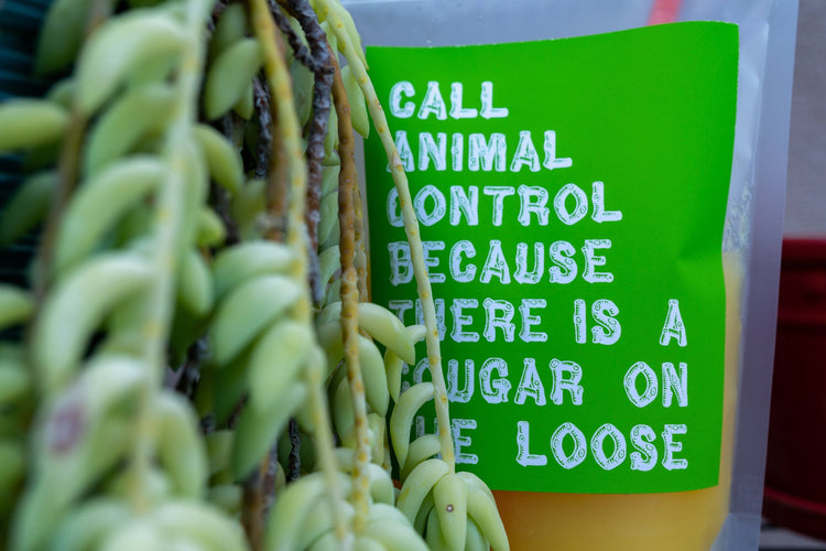 Real Housewives of Orange County Drink Pouch Set